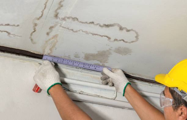 Reliable Sewage Cleanup contractor in Fair Haven, MI by Water Damage Irwin